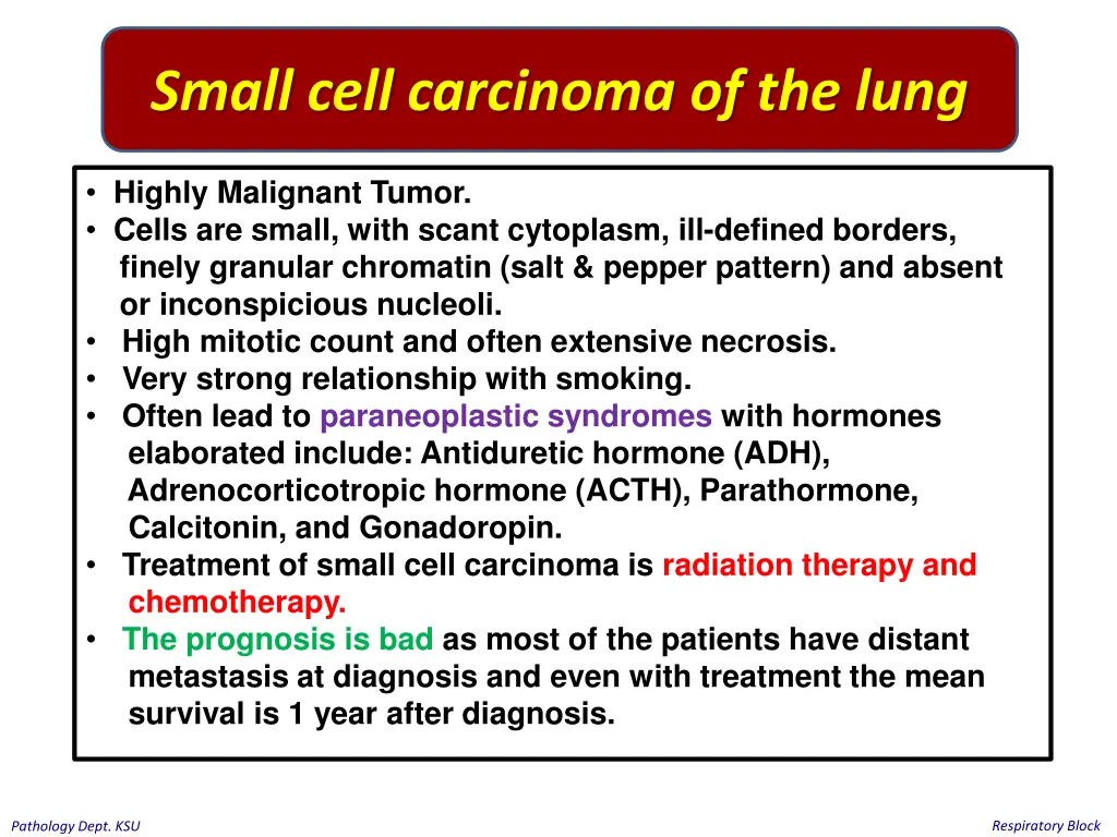 small cell carcinoma of the lung