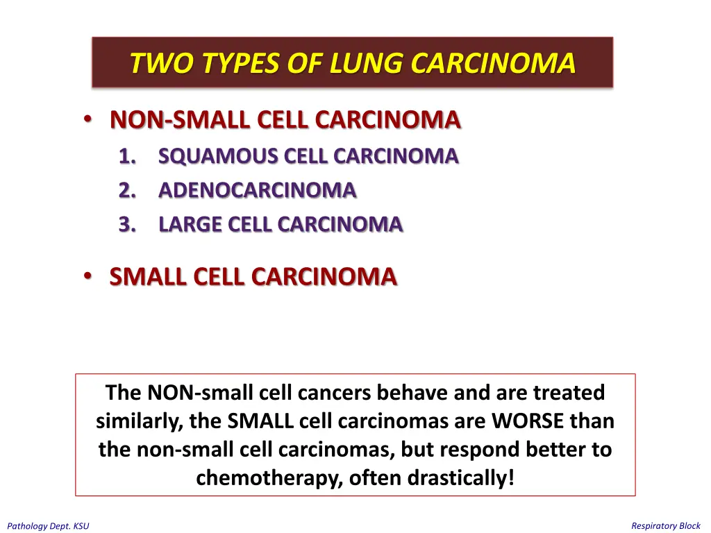 two types of lung carcinoma