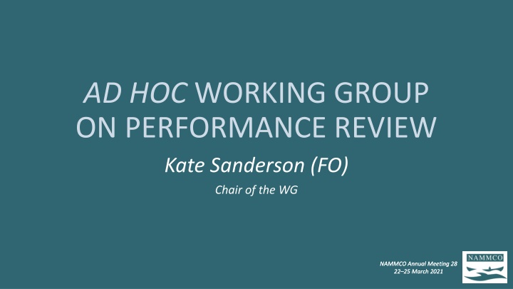 ad hoc working group on performance review kate