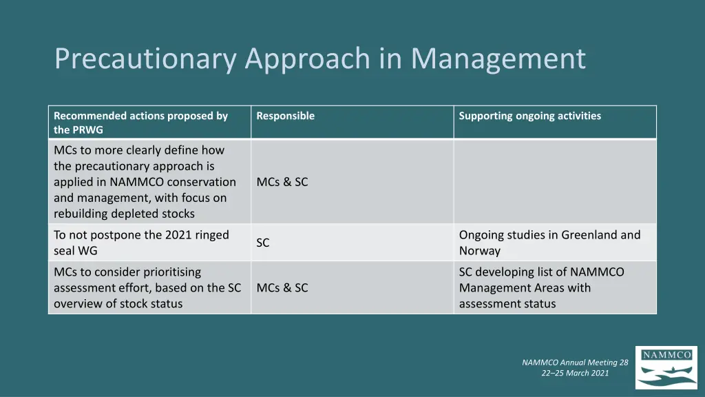 precautionary approach in management