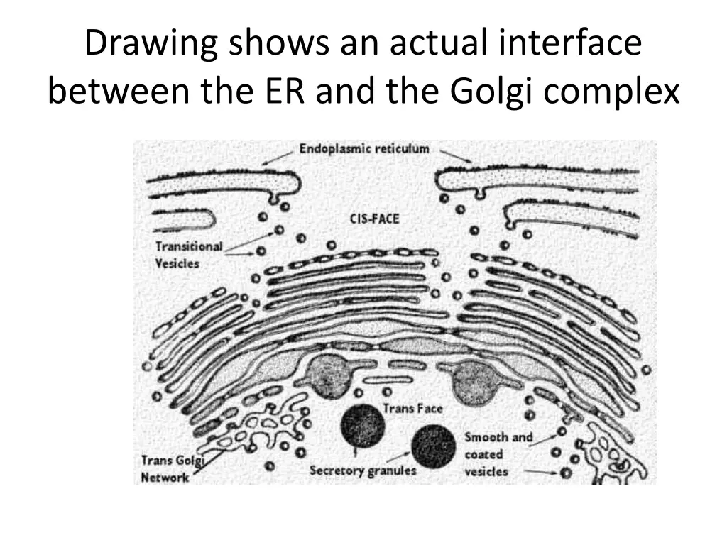 drawing shows an actual interface between