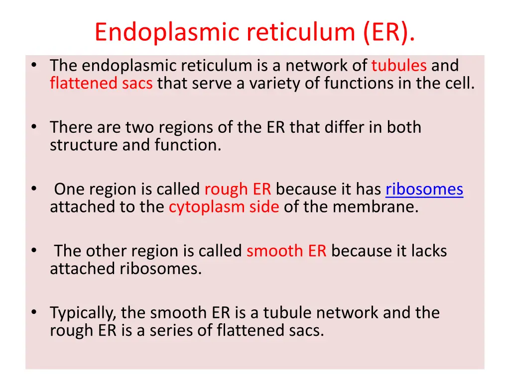 endoplasmic reticulum er the endoplasmic