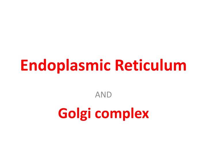 endoplasmic reticulum