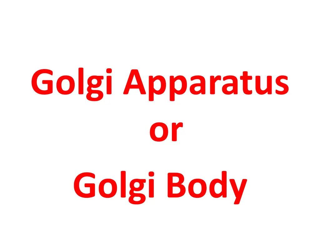 golgi apparatus or golgi body