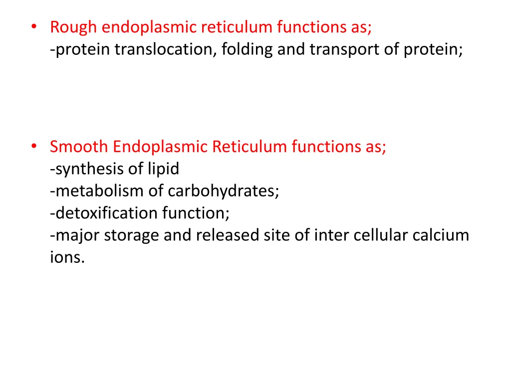 rough endoplasmic reticulum functions as protein