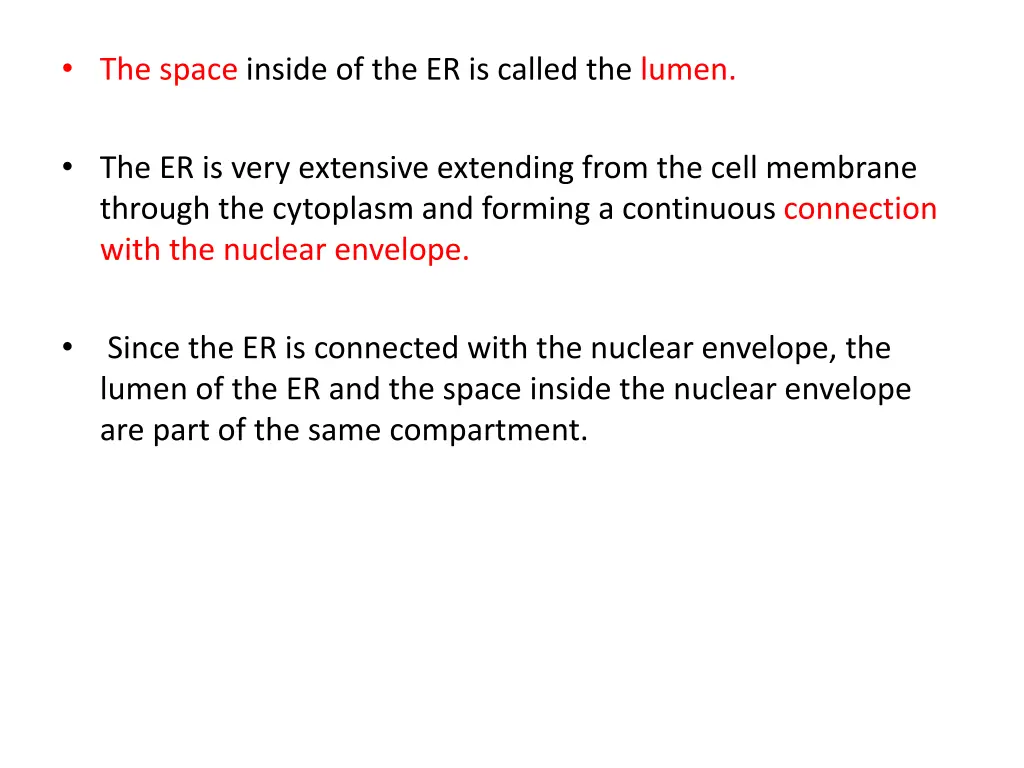 the space inside of the er is called the lumen