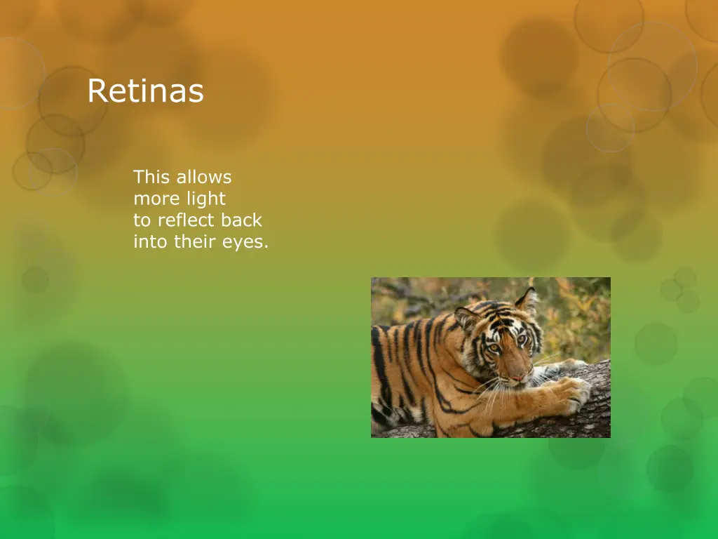 retinas