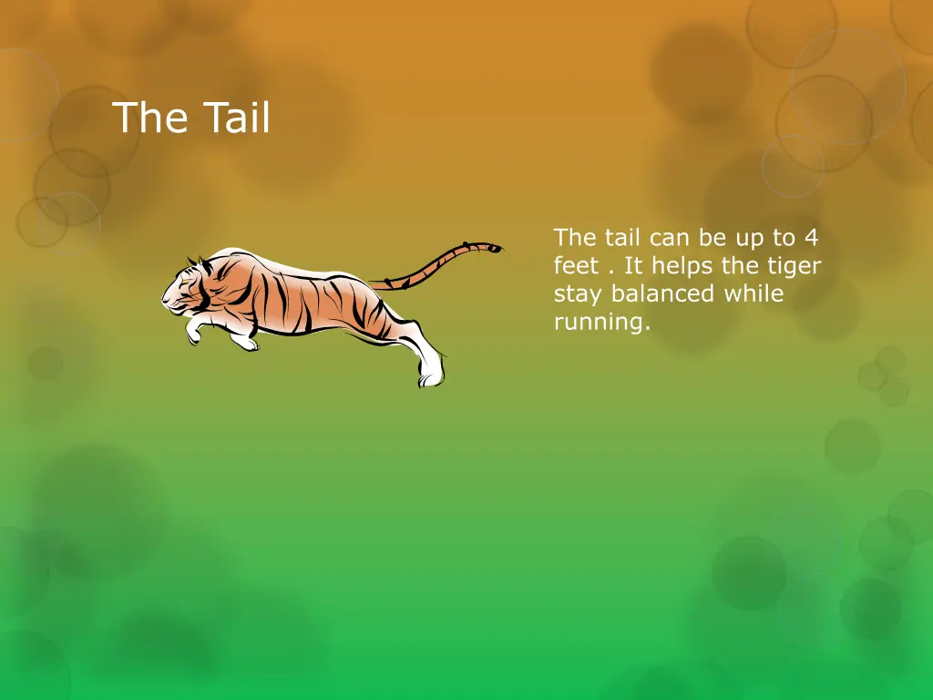 the tail