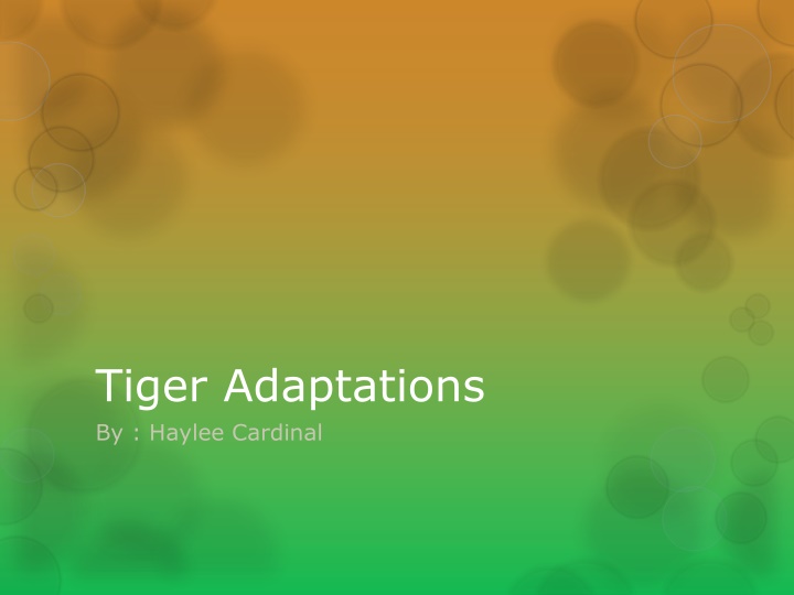 tiger adaptations by haylee cardinal