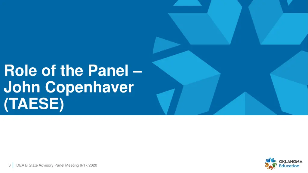 role of the panel john copenhaver taese