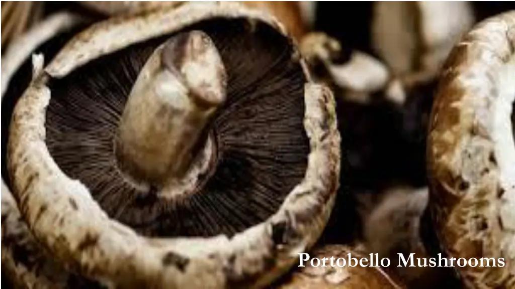 portobello mushrooms 1