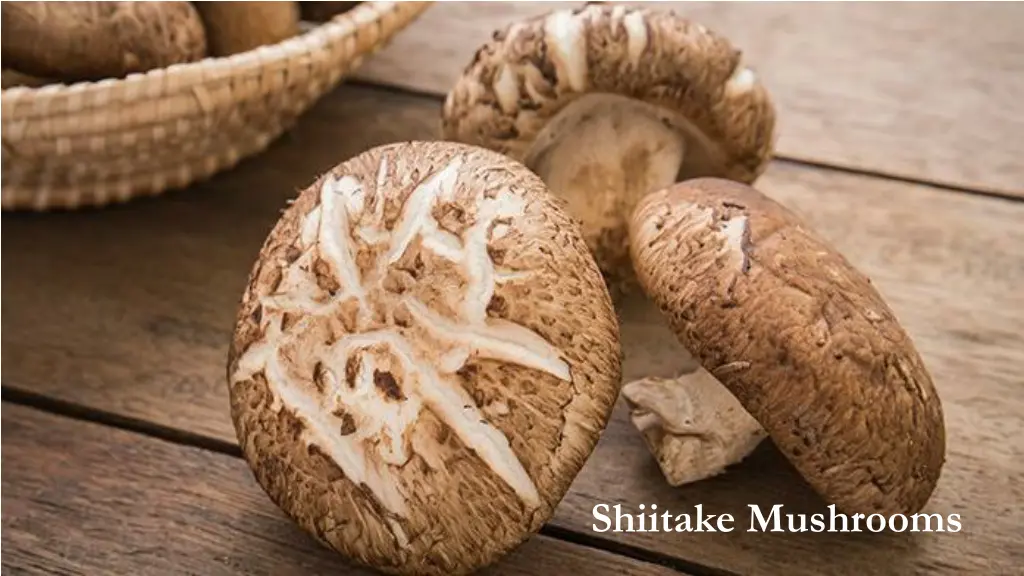 shiitake mushrooms 1