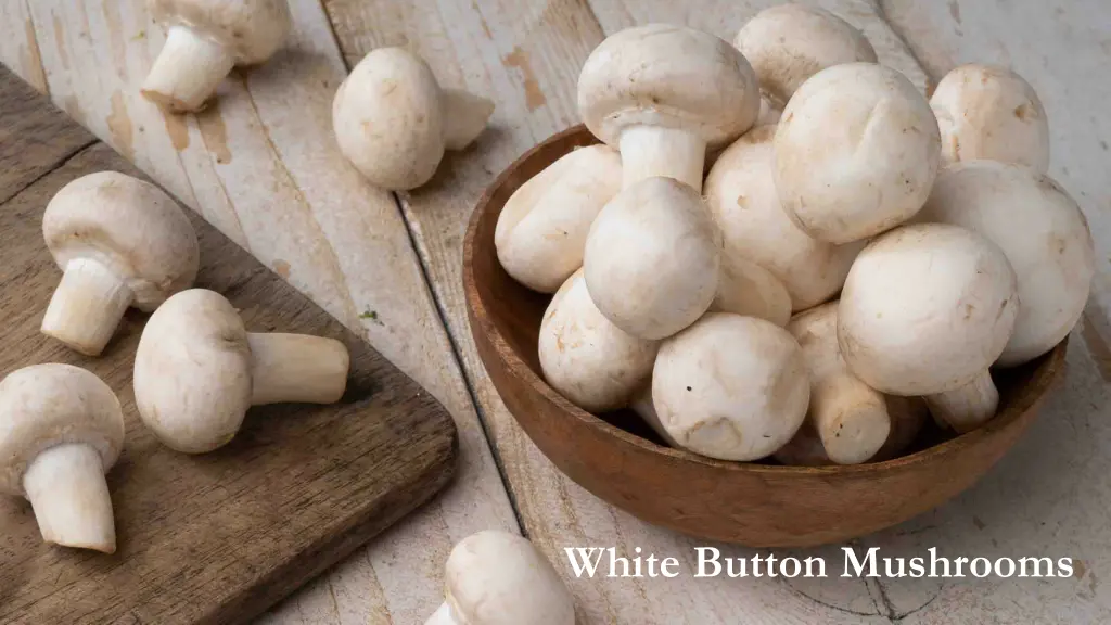 white button mushrooms 1