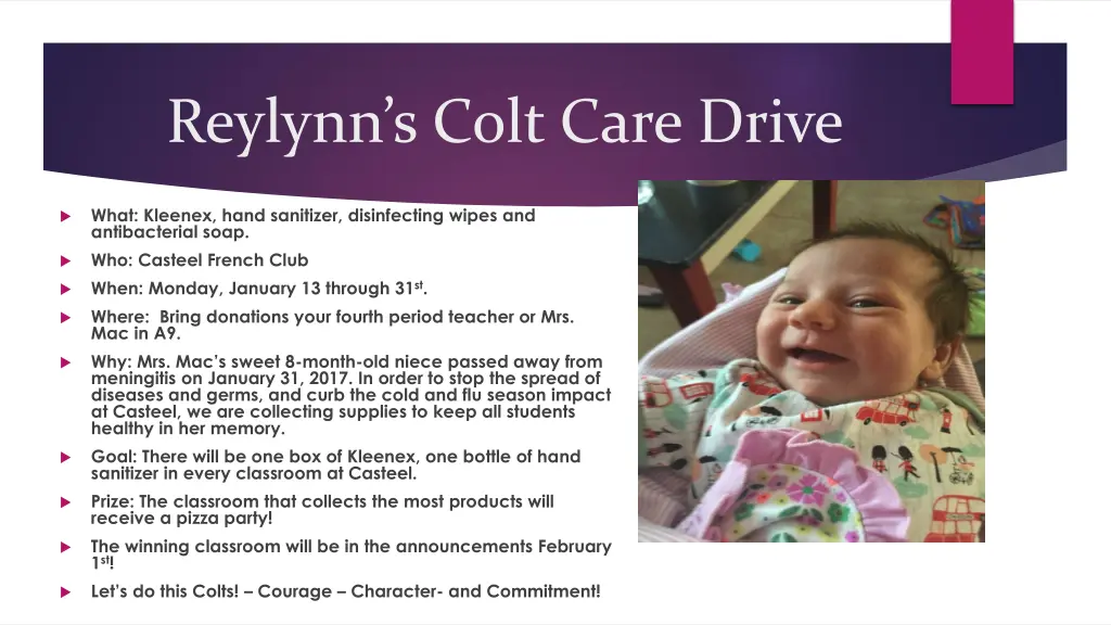 reylynn s colt care drive