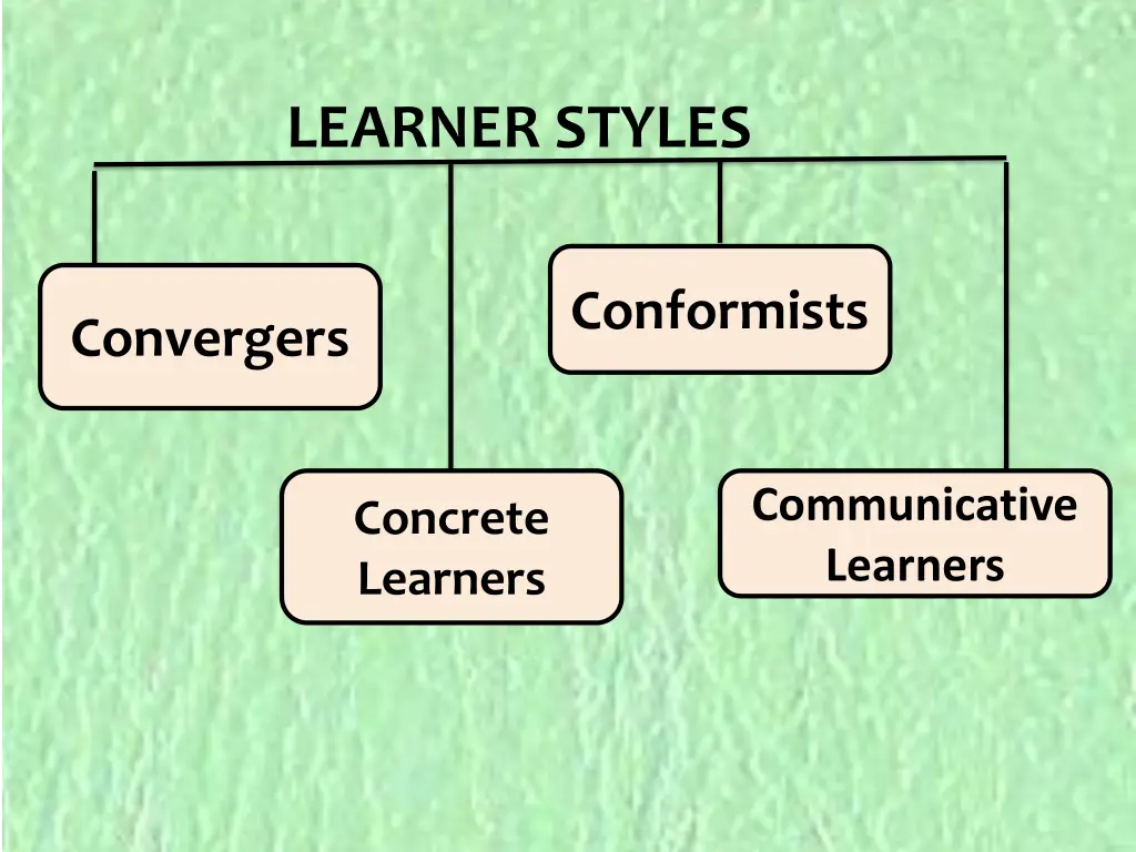 learner styles 1