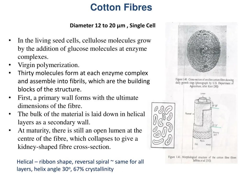 cotton fibres