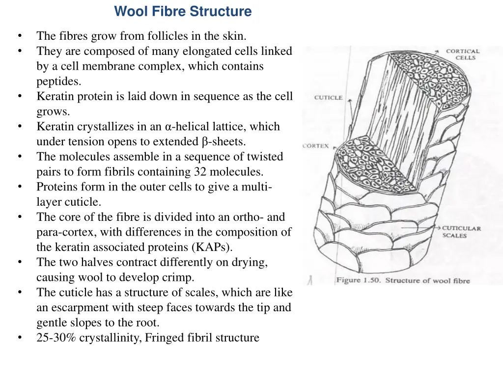 wool fibre structure