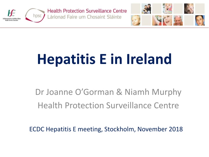 hepatitis e in ireland