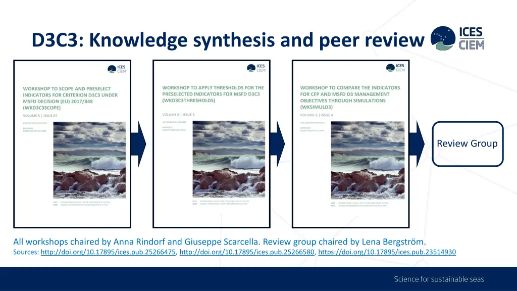 d3c3 knowledge synthesis and peer review