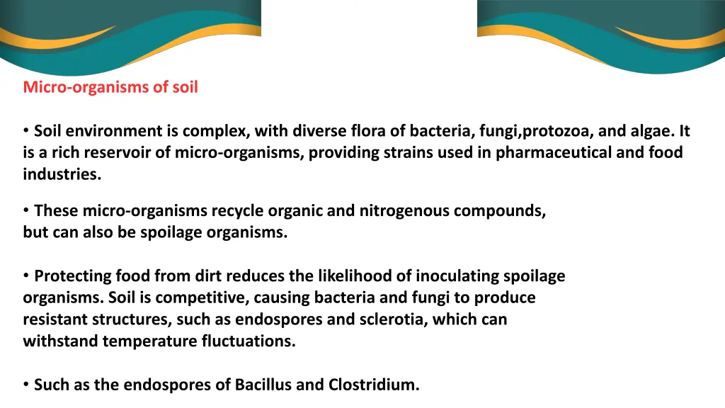 micro organisms of soil