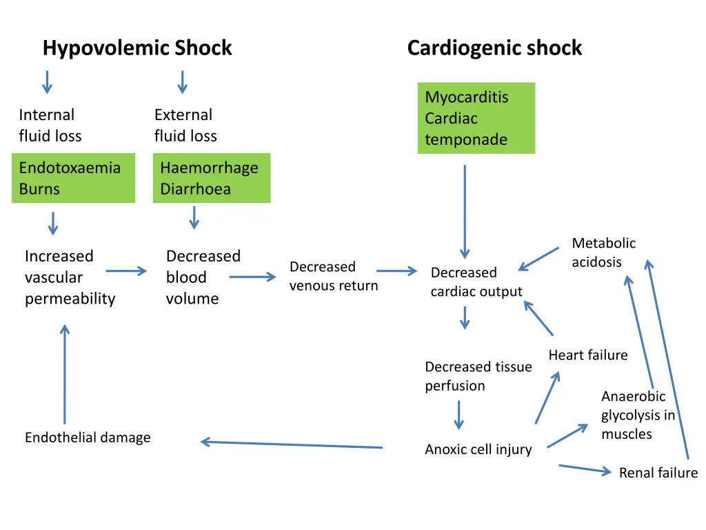 hypovolemic shock 1