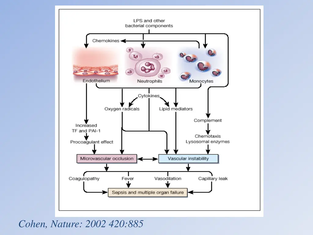 cohen nature 2002 420 885