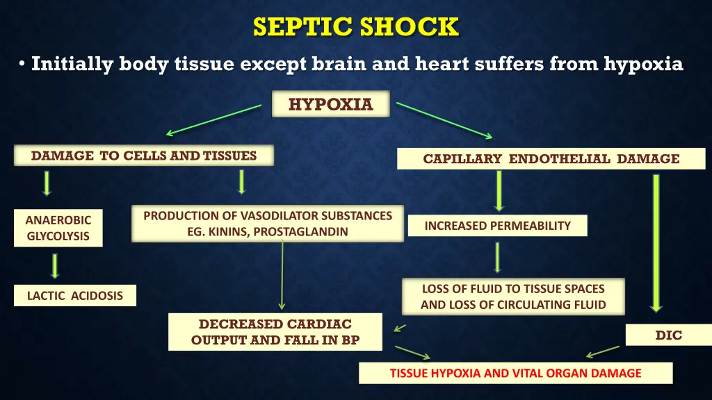 septic shock 17