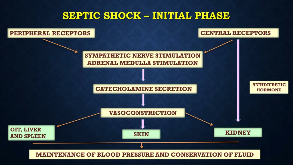 septic shock initial phase 1