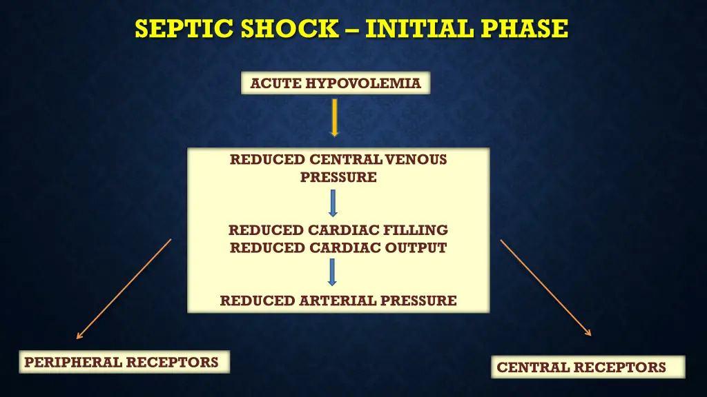 septic shock initial phase