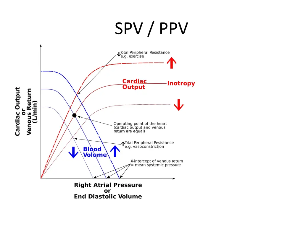 spv ppv 1