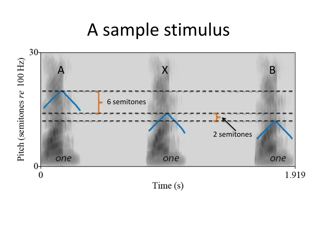 a sample stimulus 1