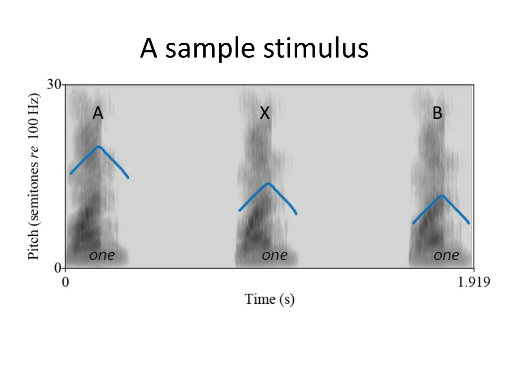 a sample stimulus