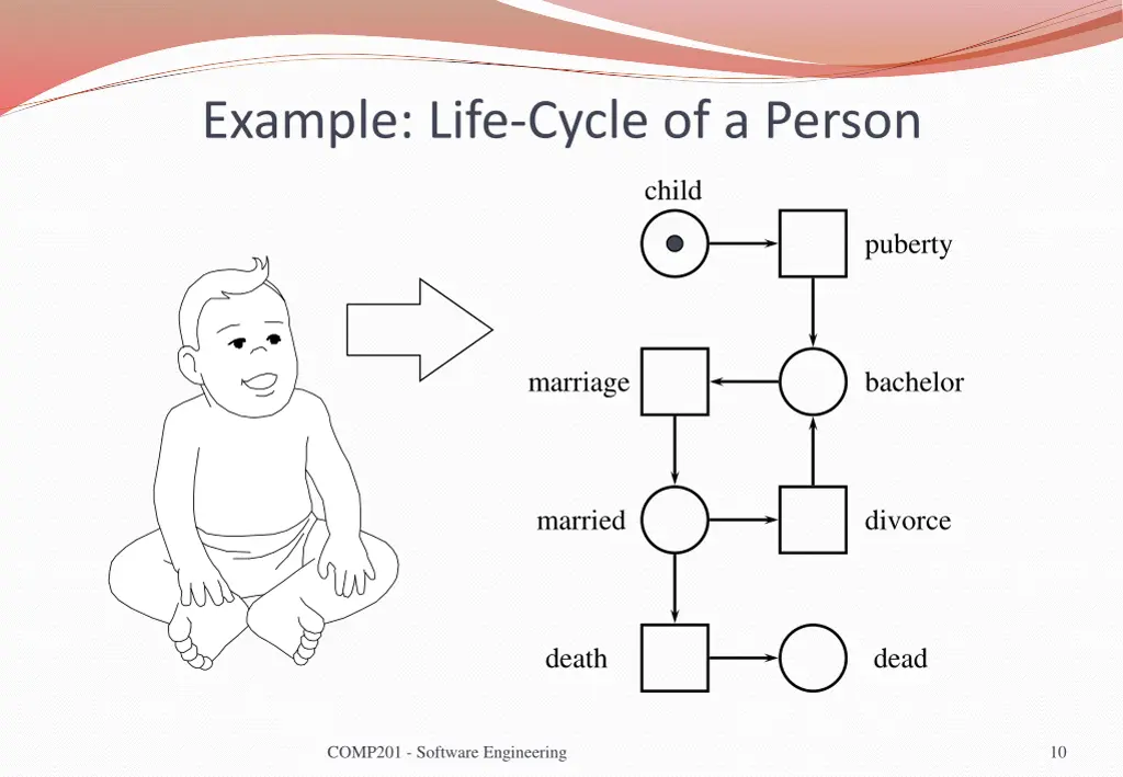 example life cycle of a person