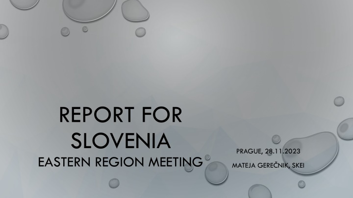 report for slovenia eastern region meeting