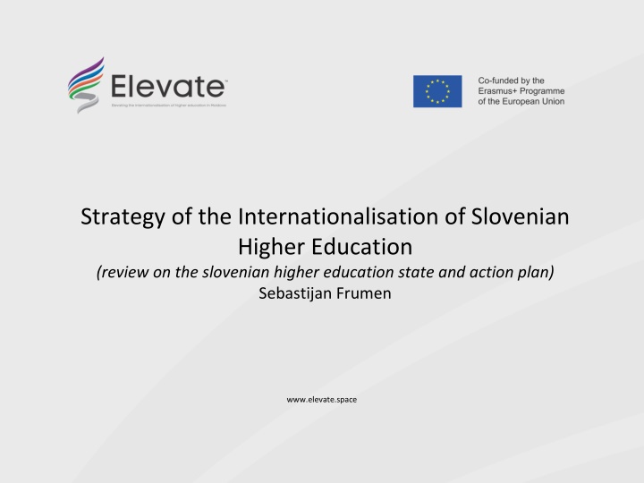 strategy of the internationalisation of slovenian