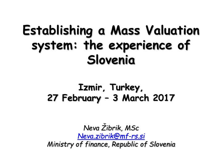 establishing a mass valuation system