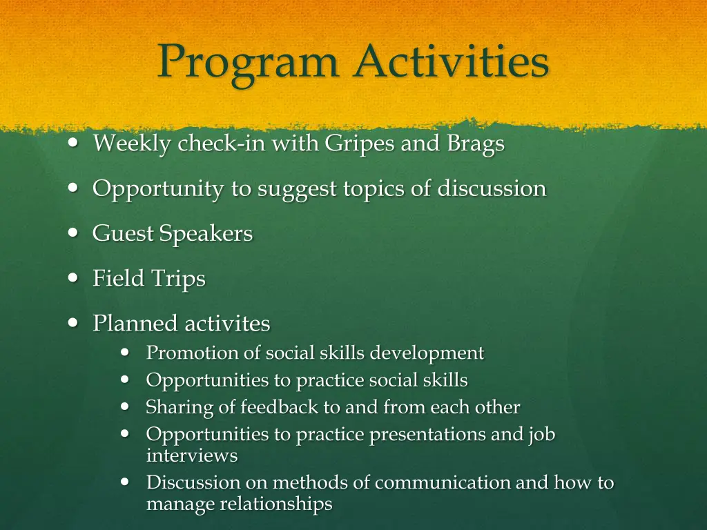 program activities