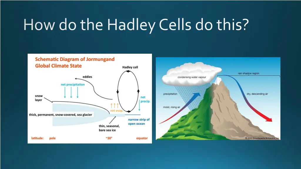 how do the hadley cells do this