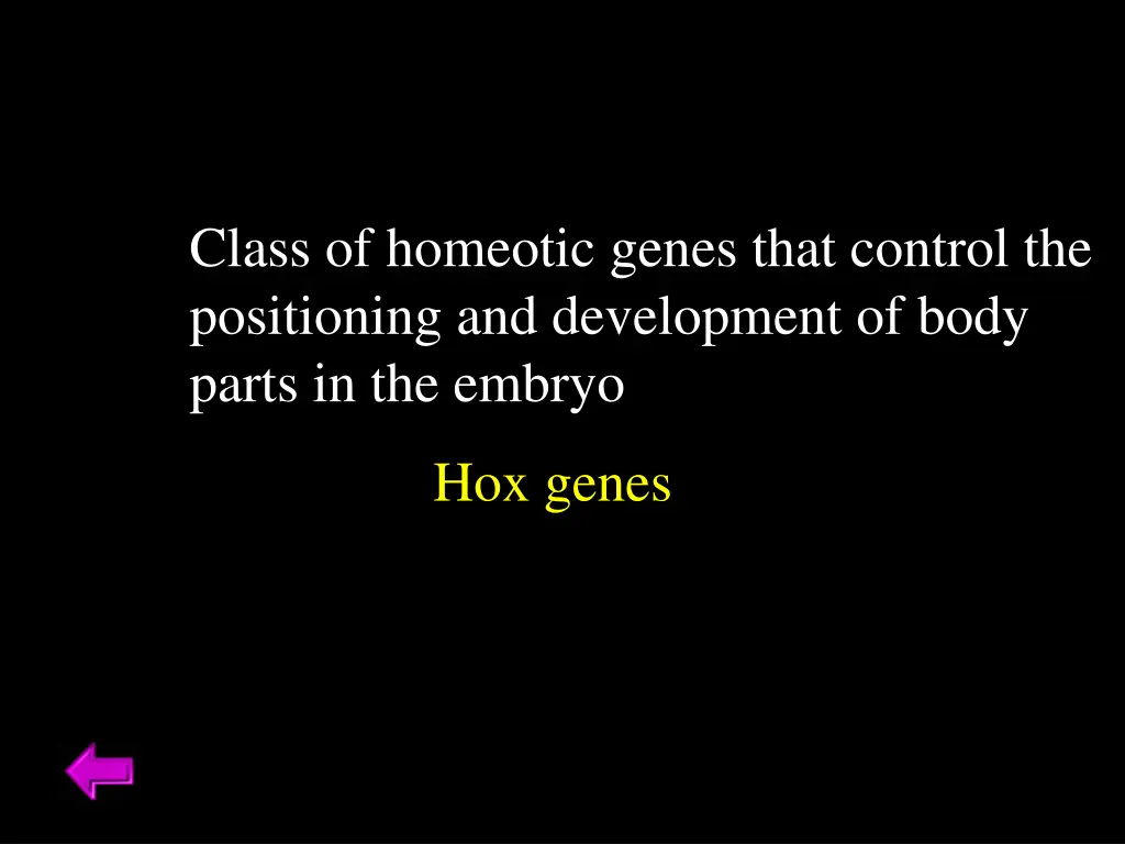 class of homeotic genes that control