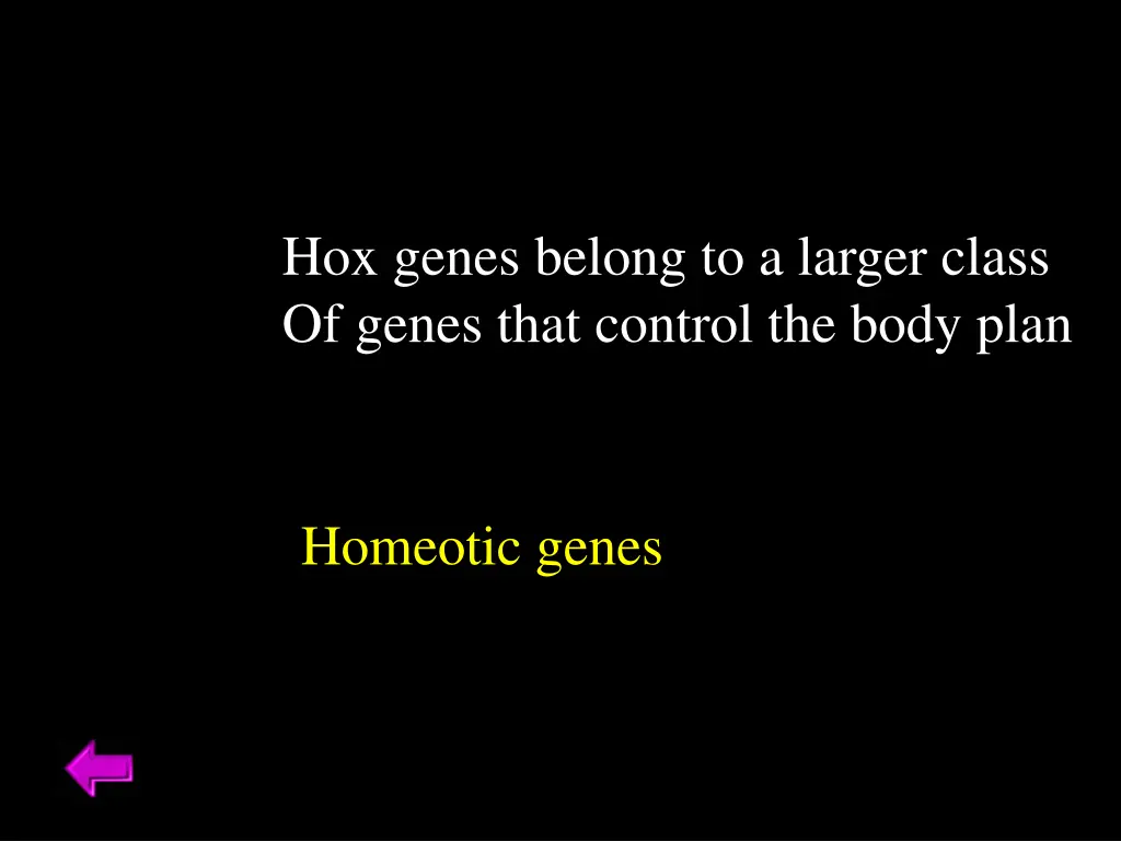 hox genes belong to a larger class of genes that