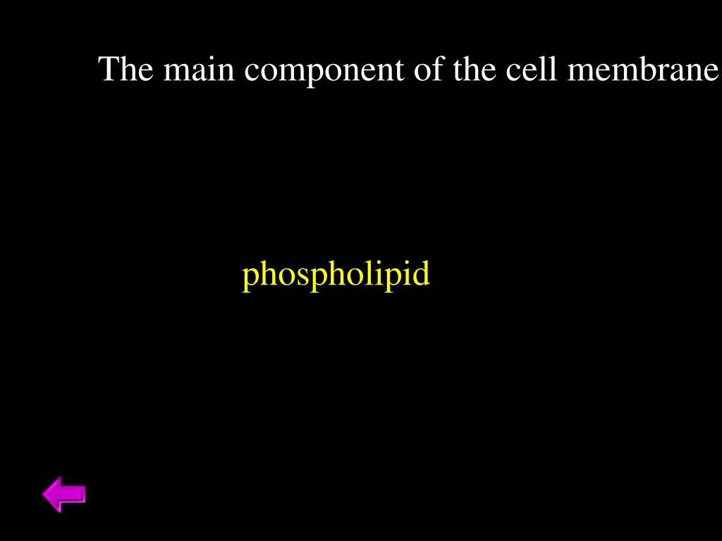 the main component of the cell membrane