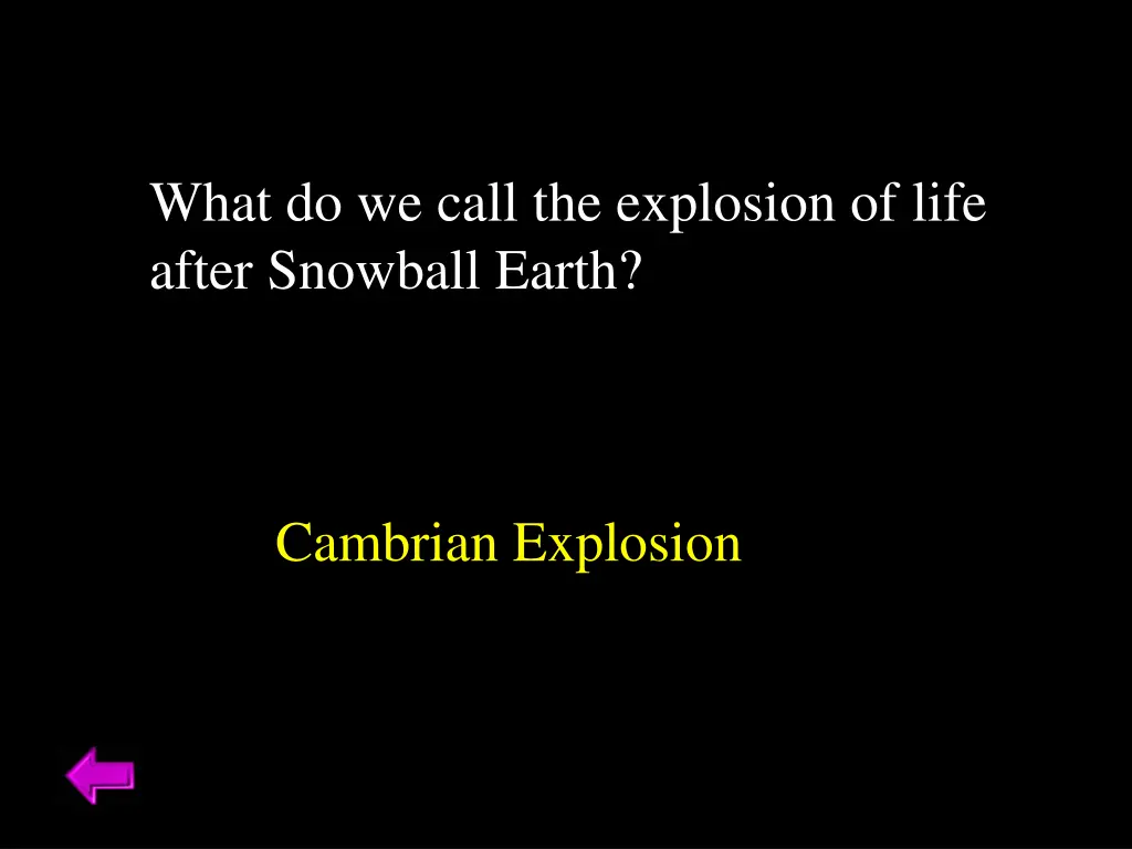 what do we call the explosion of life after