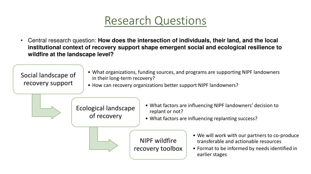 research questions