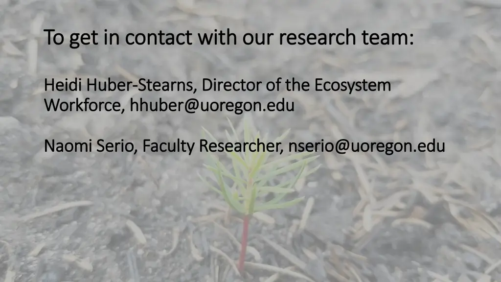 to get in contact with our research team