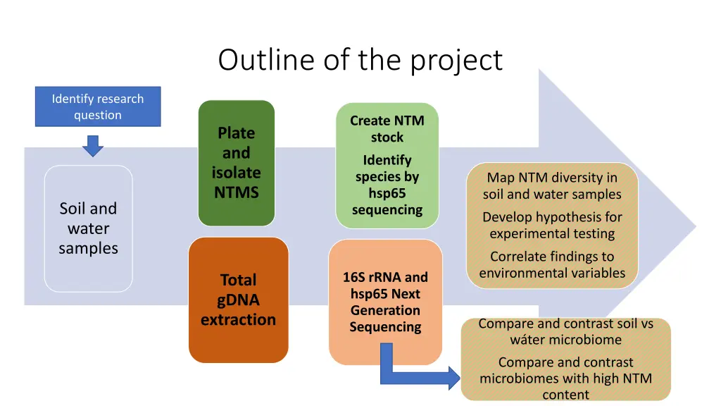 outline of the project