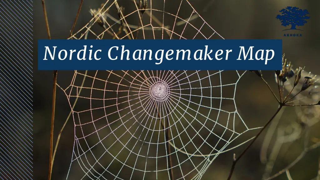 nordic changemaker map