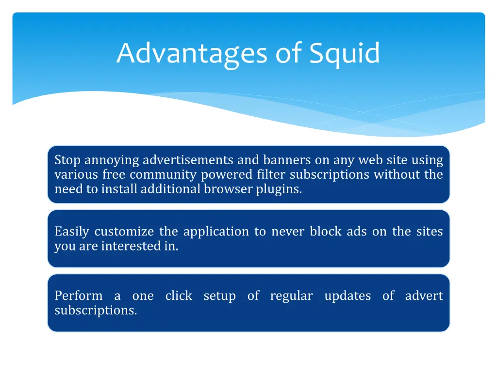 advantages of squid 1