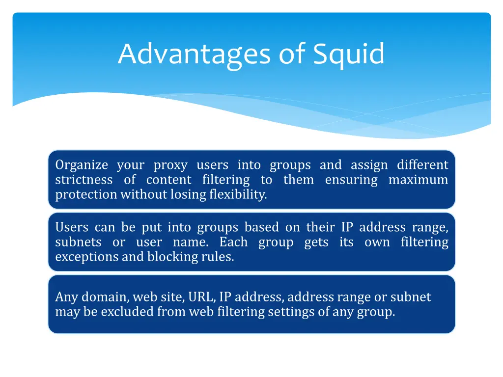 advantages of squid