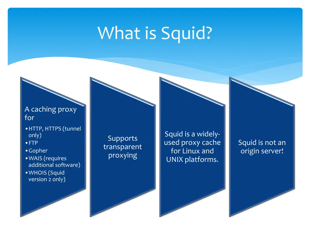 what is squid