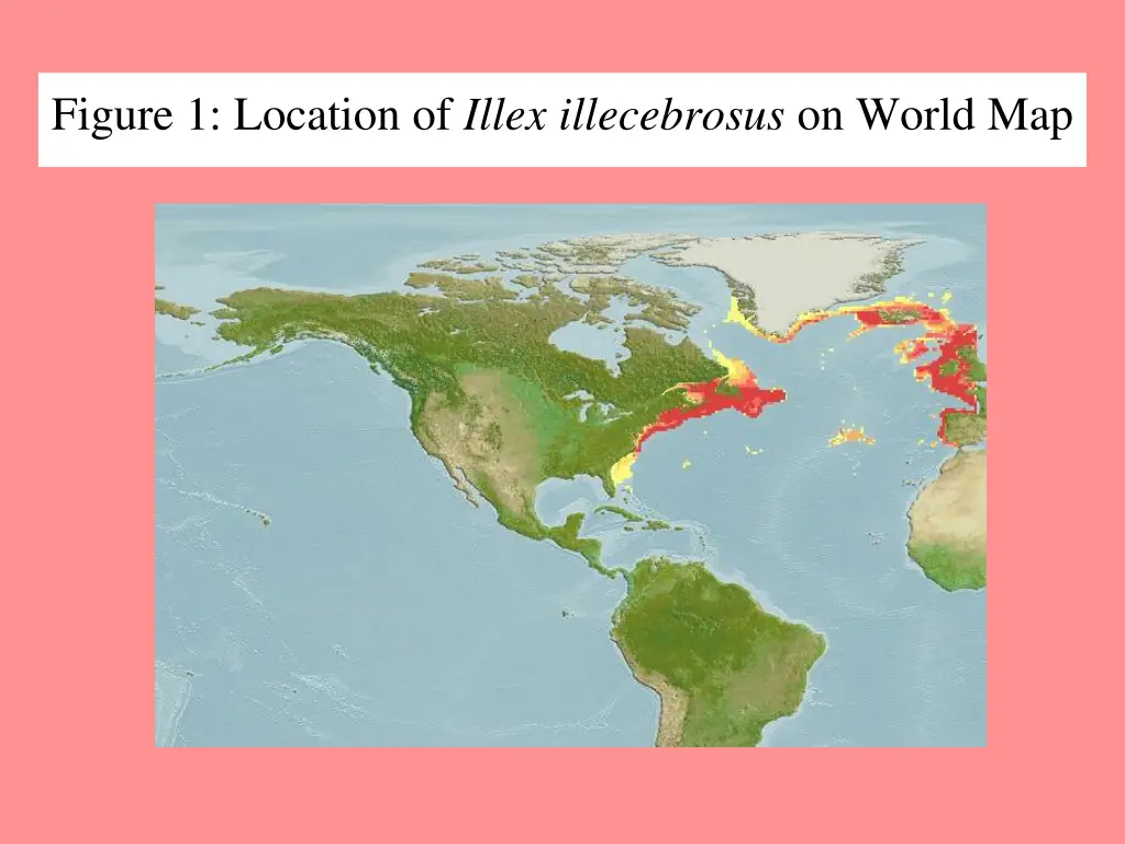 figure 1 location of illex illecebrosus on world